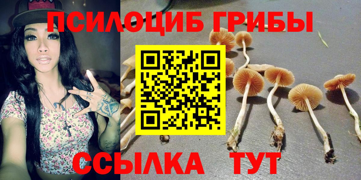 Галлюциногенные грибы MAGIC MUSHROOMS  Вход с VPN  Кушва 