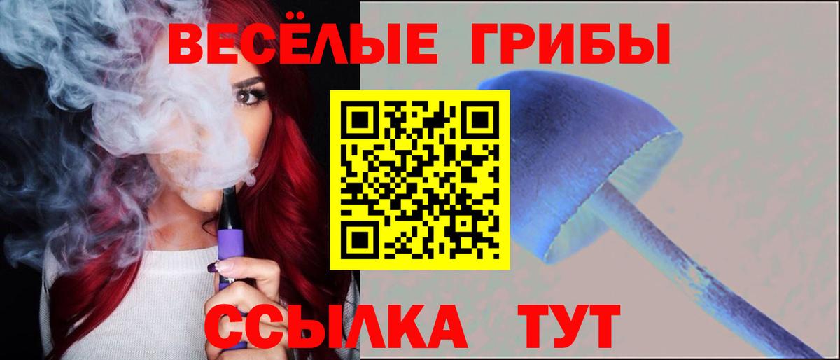 Галлюциногенные грибы Psilocybine cubensis Кушва
